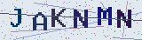 Anti-spam code *