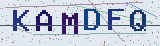 Anti-spam code *