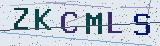 Anti-spam code *