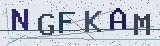 Anti-spam code *