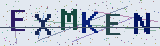 Anti-spam code *