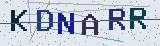 Anti-spam code *