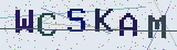 Anti-spam code *