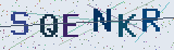 Anti-spam code *