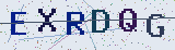 Anti-spam code *