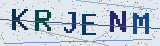 Anti-spam code *