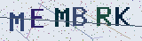 Anti-spam code *
