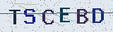 Anti-spam code *