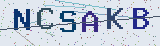 Code anti-spam *
