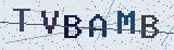 Anti-spam code *
