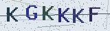 Anti-spam code *