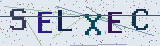 Anti-spam code *