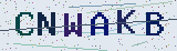 Anti-spam code *