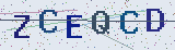Anti-spam code *