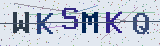 Anti-spam code *