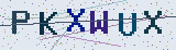 Anti-spam code *