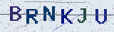 Anti-spam code *