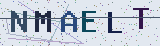 Anti-spam code *