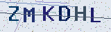 Anti-spam code *