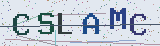 Anti-spam code *