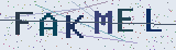 Anti-spam code *