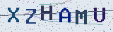 Anti-spam code *