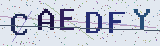 Anti-spam code *
