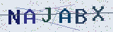 Anti-spam code *