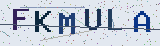 Anti-spam code *