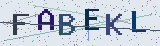 Anti-spam code *