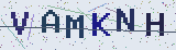 Anti-spam code *