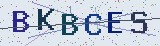 Anti-spam code *
