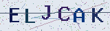 Anti-spam code *