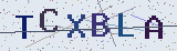 Anti-spam code *