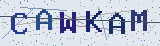 Anti-spam code *