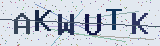 Anti-spam code *