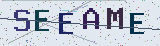 Anti-spam code *