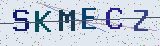 Anti-spam code *