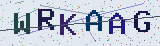 Anti-spam code *