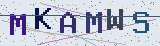 Anti-spam code *