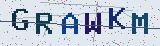 Anti-spam code *