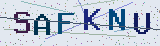 Anti-spam code *