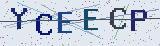 Anti-spam code *