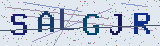 Anti-spam code *