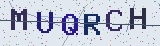 Anti-spam code *