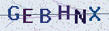Anti-spam code *