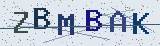 Anti-spam code *