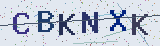 Anti-spam code *