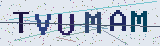 Anti-spam code *