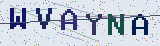 Anti-spam code *